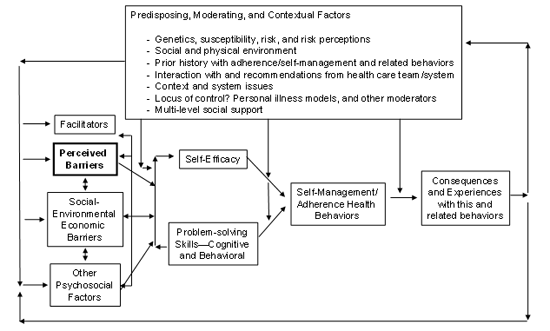 Figure 1. Logic Model of Role Of Perceived Barriers and Related Constructs to Patient Self Management/Adherence