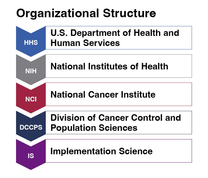 BRP Organizational Structure