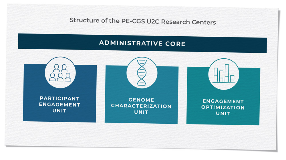 Title: 'Structure of the PE-GGS U2C Research Centers'. Subtitle: 'Administrative Core'. Visual includes three squares with labels and an icon. From left to right: Square one is labeled 'Participant Engagement Unit' and includes an icon displaying five people. Square two is labeled 'Genome Characterization Unit' and includes an icon displaying a strand of DNA. Square three is labeled 'Engagement Optimization Unit' and includes an icon displaying the outline of a bar graph.