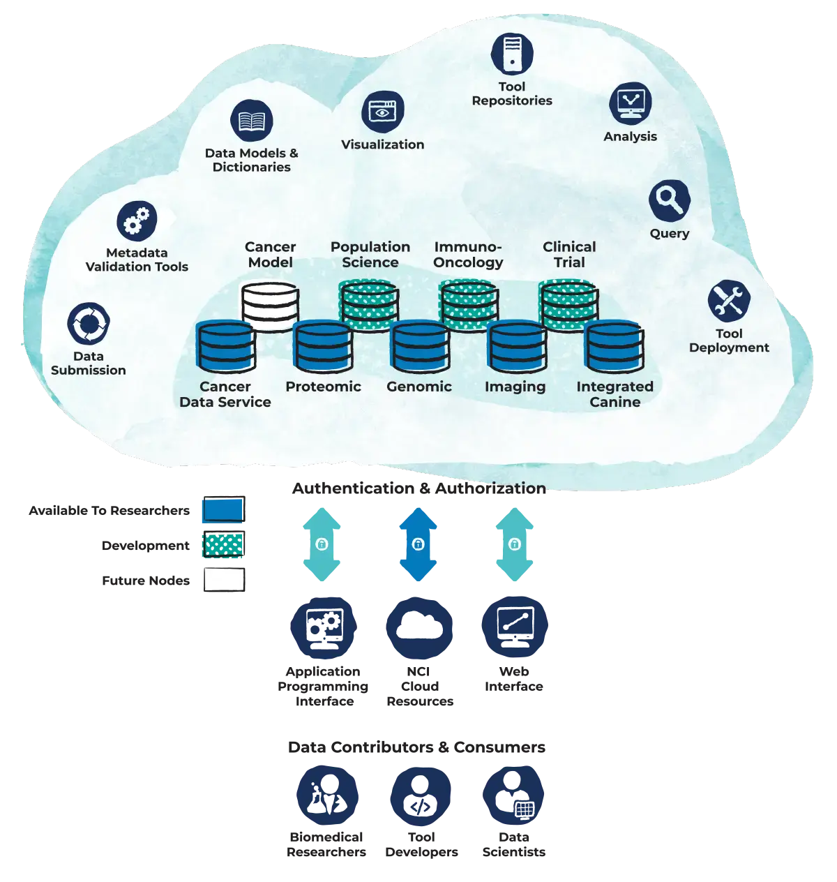 A cloud visualization showing the various aspects of the Population Sciences Data Commons. Seven types of data resources are listed: data submission, metadata validation tools, data models and dictionaries, visualization, tool repositories, analysis, query and tool deployment. Nodes that are  available to researchers include cancer data service, proteomic, genomic, imaging and integrated canine. Population science, immuno-oncology and clinical trials nodes are in development. Cancer models will be included in future nodes. Three types of authentications and authorizations are listed: API, NCI cloud resources, and web interfaces. Three data contributors and consumers are also listed: biomedical researchers, tool developers and data scientists.