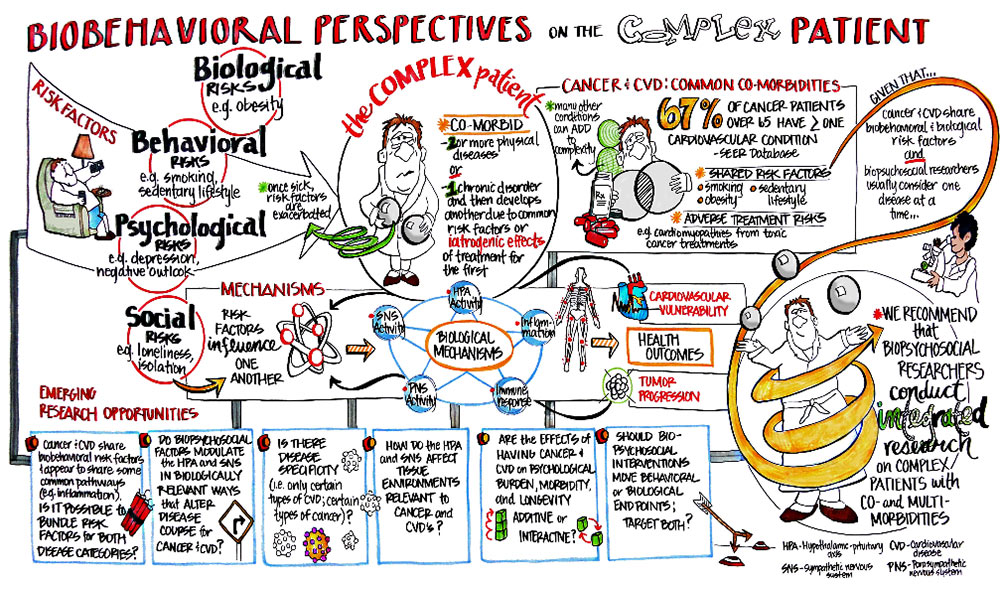 complex diagram of patient interaction