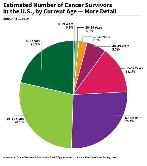 A pie chart of estimated number of cancer survivors in the US, by current age in detail
